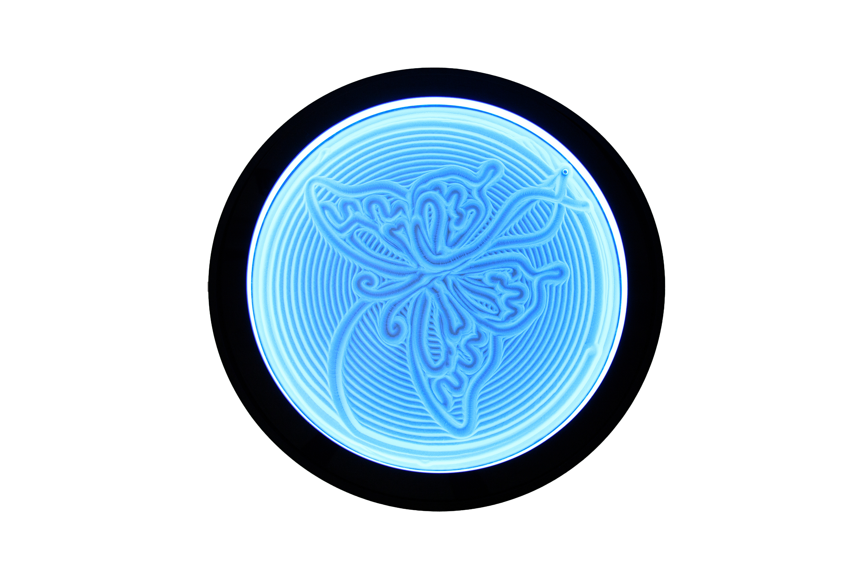 IMG_8948 拷贝.png__PID:544be98e-897b-44f8-9a3a-1a78856993fc